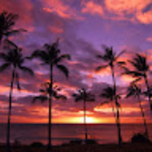 Meet your Posher, Sonia